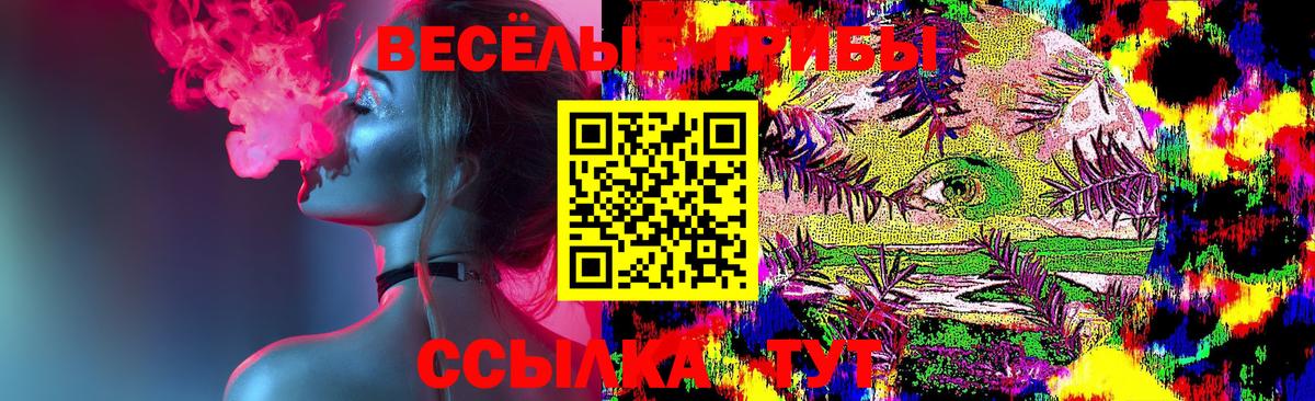 даркнет сайт  Галлюциногенные грибы прущие грибы  Вход с VPN  Нальчик 